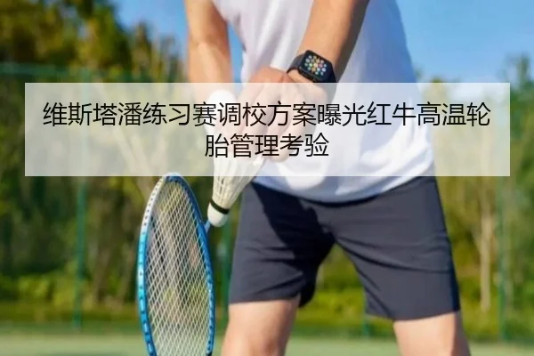 维斯塔潘练习赛调校方案曝光红牛高温轮胎管理考验